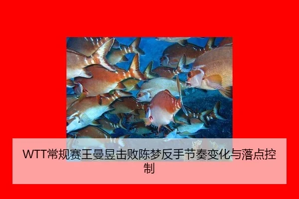 chang-gui-sai-wang-man-yu-ji-bai-chen-meng-fan-shou-jie-zou-bian-hua-yu-luo-dian-kong-zhi-3-650.jpg